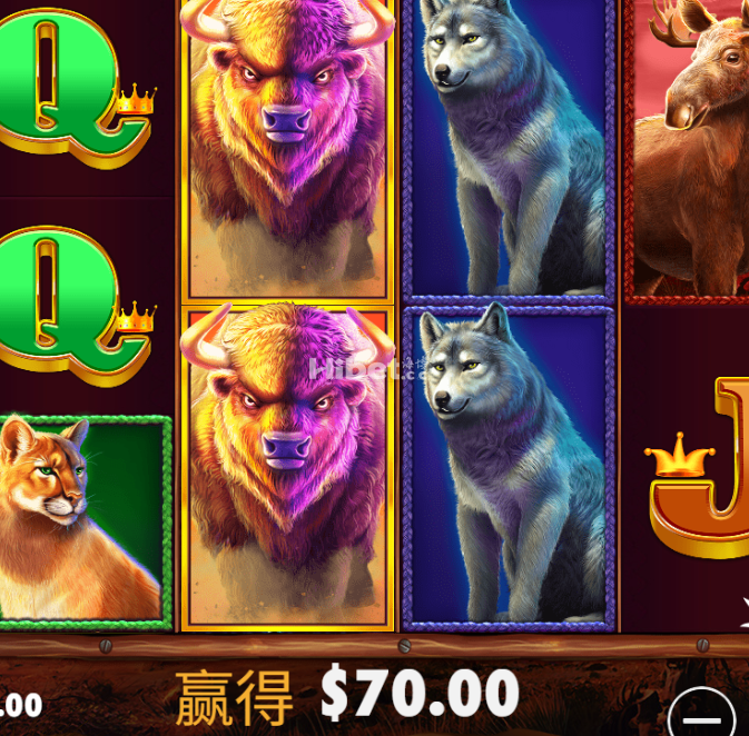金狮还是小赚一些开心呢