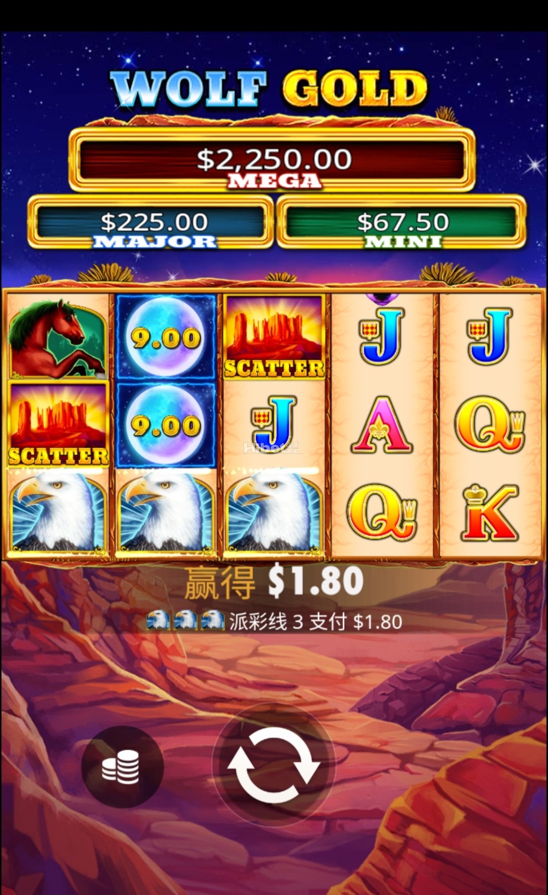野狼黄金小赚了盒饭钱出来