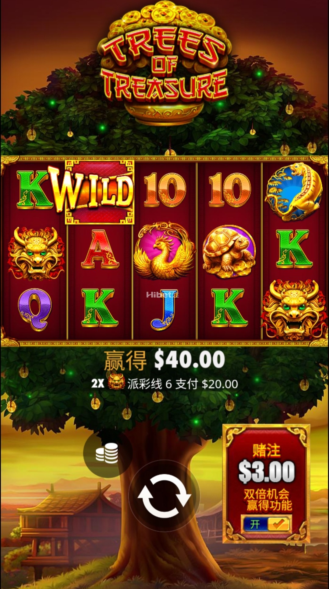 招财树还是不错的招了点财